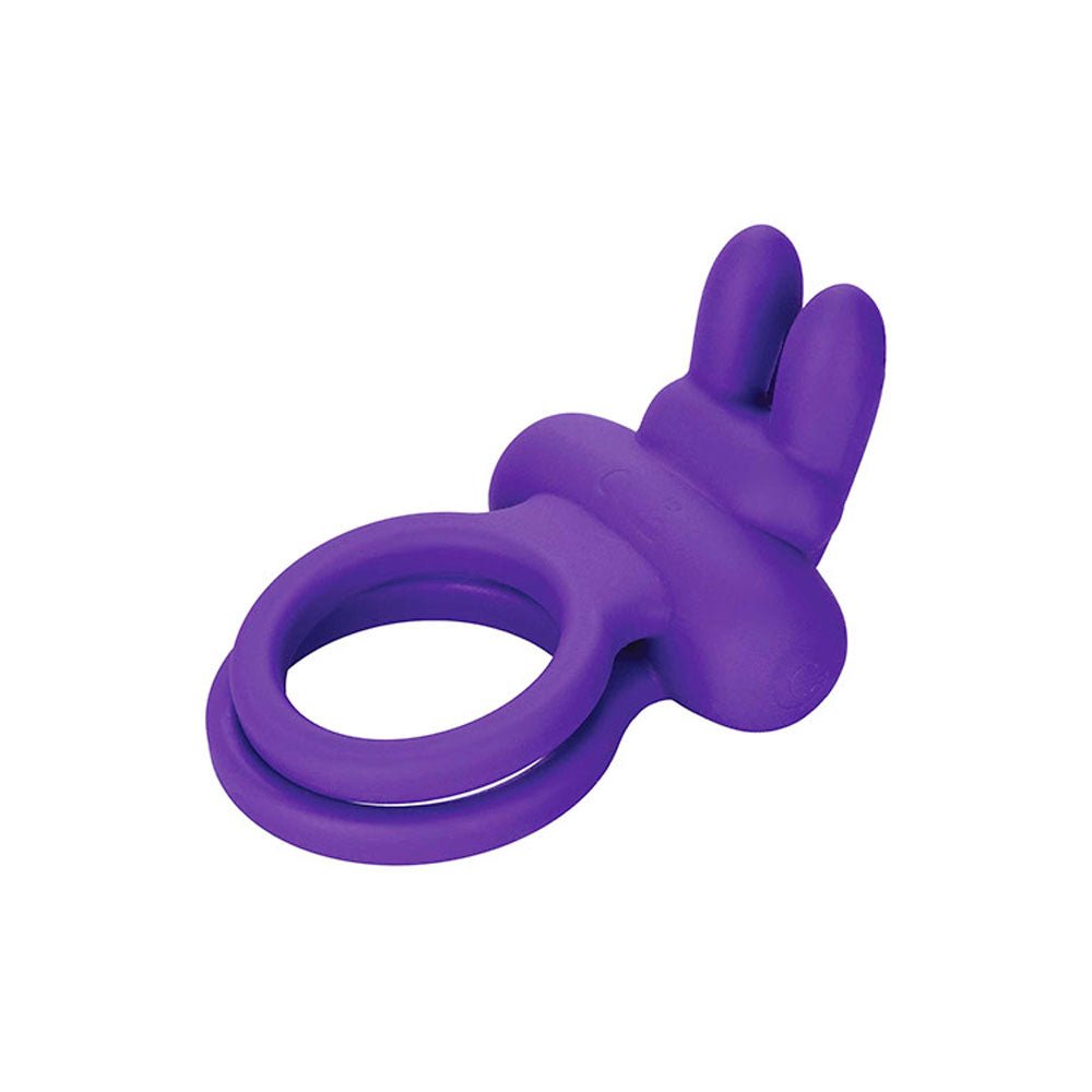 Buy Adam & Eve ROCKIN' RABBIT - Purple USB Rechargeable Cock & Balls Ring at Oh Joy. Discover premium sexual toys with discreet shipping at the best price in NZ