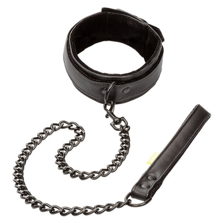 Buy Boundless Collar & Leash at Oh Joy. Discover premium sexual toys with discreet shipping at the best price in NZ