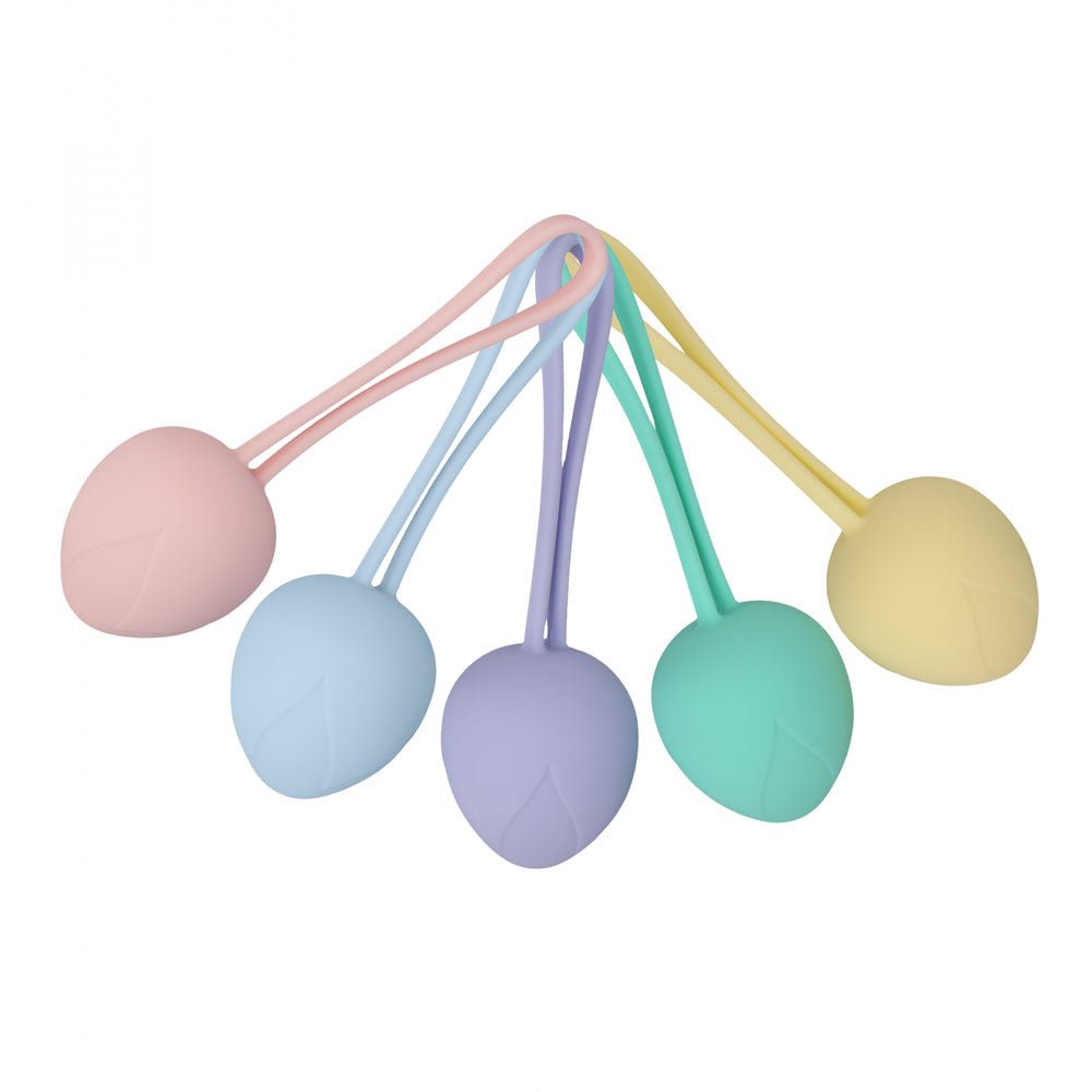 Buy LOVELINE PelviFit Berry - Coloured Kegel Kit - Set of 5 Sizes
