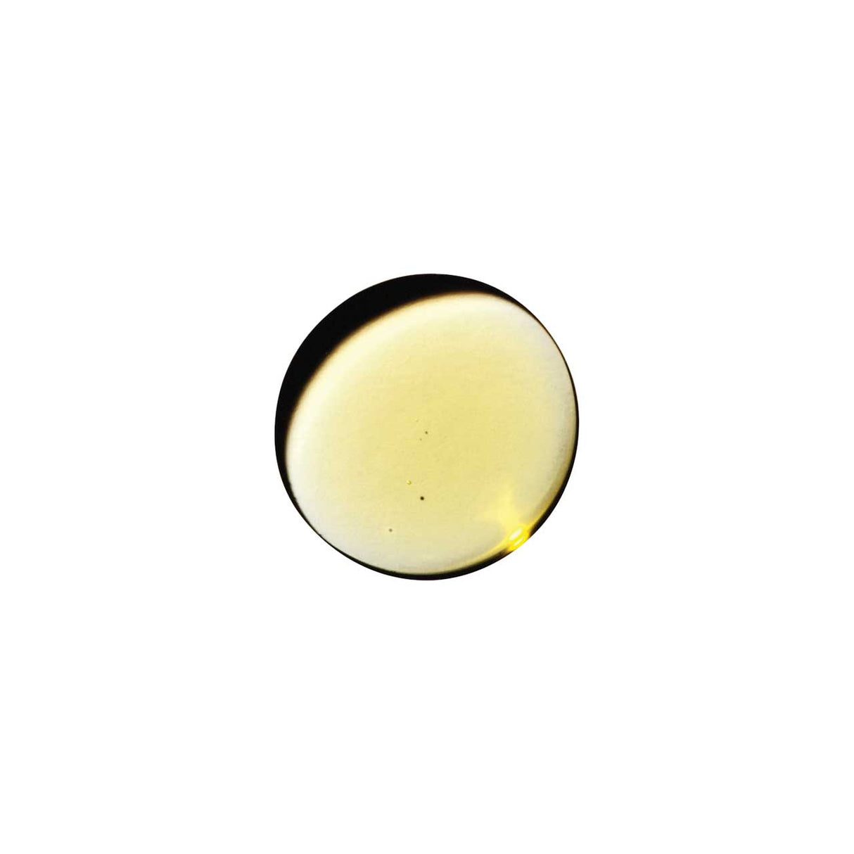 Buy Massage Oil at Oh Joy. Discover premium sexual toys with discreet shipping at the best price in NZ