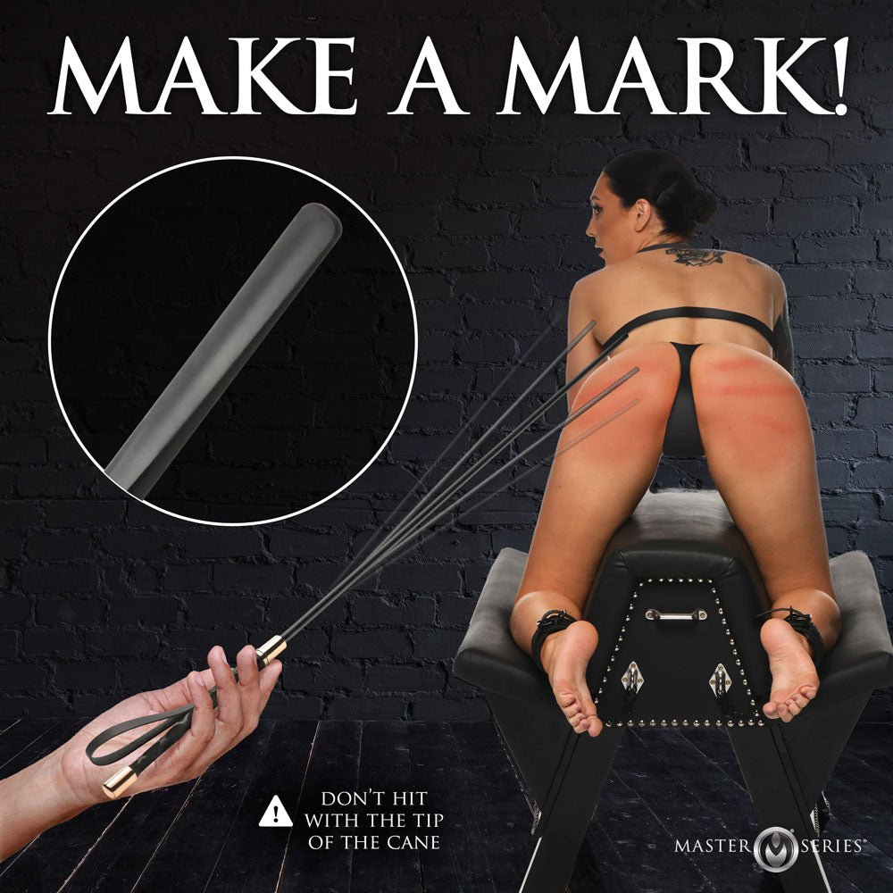 Buy Master Series Sinful Impact Cane - Black Plastic Cane Whip at NZ’s Mega Adult Toys Store. Discover premium sex toys with discreet shipping at the best price in NZ