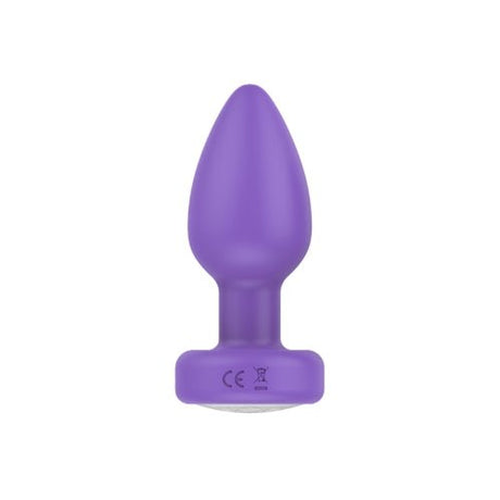 Buy Pr17: VIBRATING PLUG W/ REMOTE at Oh Joy. Discover premium sexual toys with discreet shipping at the best price in NZ