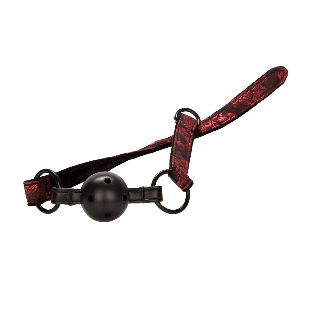 Buy Scandal Bed Restraint Kit Red at Oh Joy. Discover premium sexual toys with discreet shipping at the best price in NZ