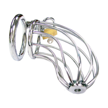 Buy Stainless Steel Cock Cage at Oh Joy. Discover premium sexual toys with discreet shipping at the best price in NZ